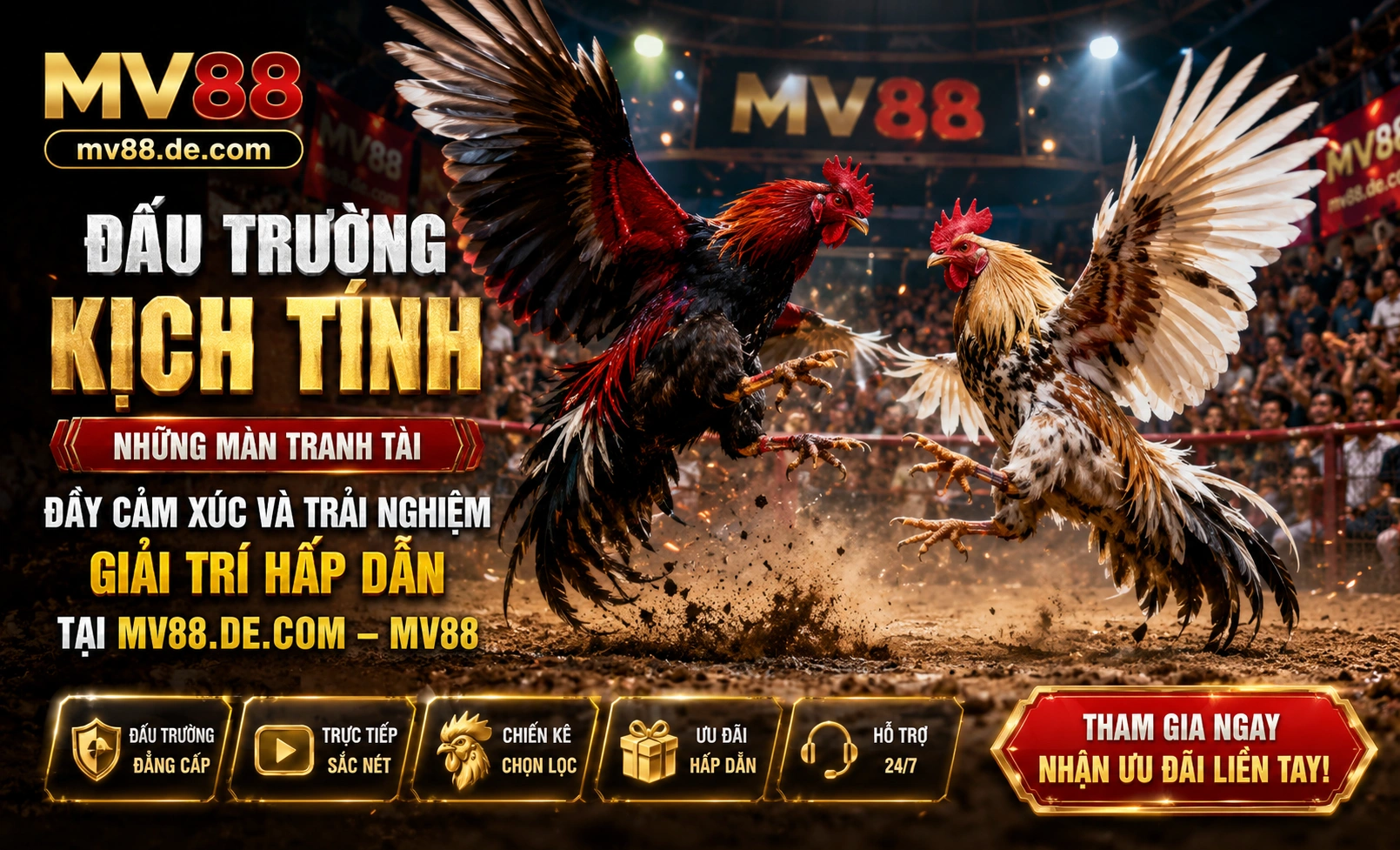 Đá Gà MV88 live