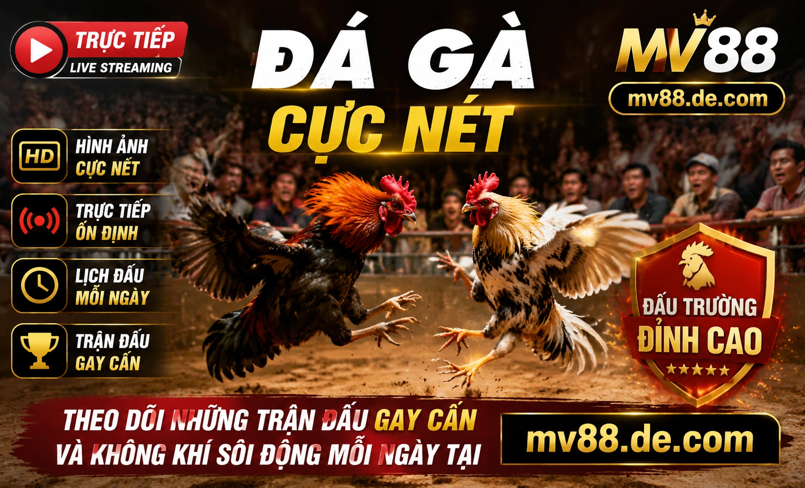 Ưu đãi Đá Gà MV88